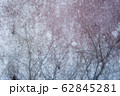 汚れたガラス越しから見る樹木 62845281