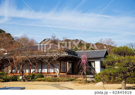 神戸須磨離宮公園の日本庭園の梅 神戸須磨離宮公園の日本庭園の梅 62845919
