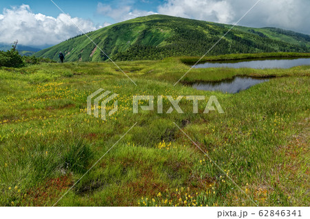 キンコウカ咲く夏の湿原と平ヶ岳 62846341