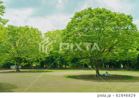 公園の風景 公園の風景 62846829