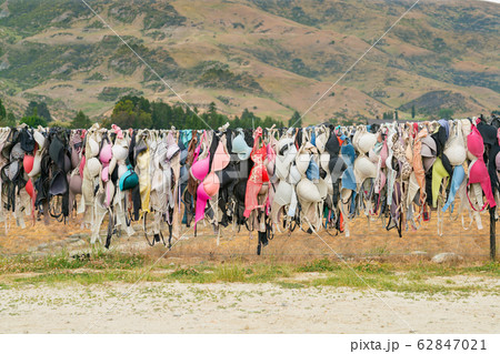 Hanging Bikini on road site New Zealand  62847021