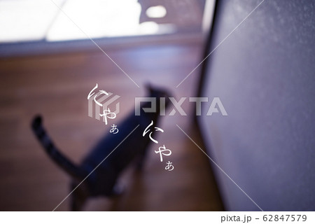 Image photo 62847579