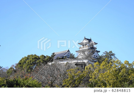 高知城全景 高知城全景 62848815