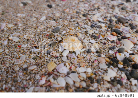 鹿児島県種子島 海岸 砂浜 貝殻 鹿児島県種子島 海岸 砂浜 貝殻 62848991