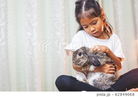 Cute asian child girl carrying and playing with cute Holland lop rabbit 62849068