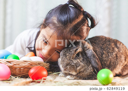 Cute asian child girl playing with cute Holland lop rabbit Cute asian child girl playing with cute Holland lop rabbit 62849119