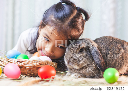 Cute asian child girl playing with cute Holland lop rabbit 62849122