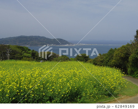 春の能古島 62849169