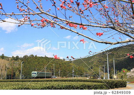 抜里の春景色 抜里の春景色 62849309