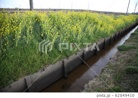 昭和時代の用水 昭和時代の用水 62849410