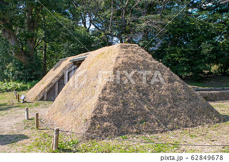 東京都　浜離宮恩賜庭園　小覗　庚申堂鴨場 62849678