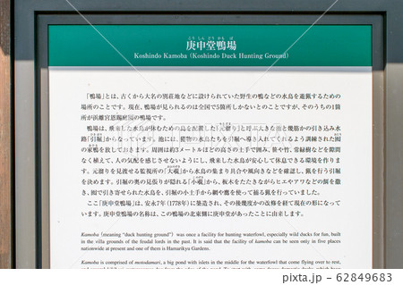 東京都 浜離宮恩賜庭園 庚申堂鴨場 東京都 浜離宮恩賜庭園 庚申堂鴨場 62849683
