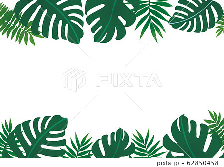 南国の植物背景フレーム 62850458