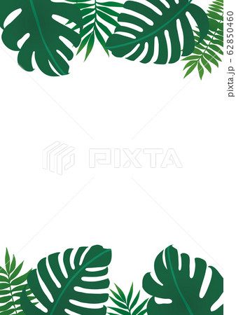 南国の植物背景フレームのイラスト素材