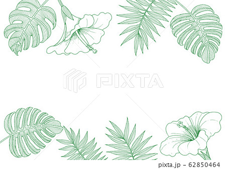 ハイビスカスと植物の線画フレームのイラスト素材