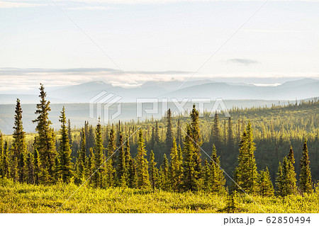 Polar tundra in Canada 62850494