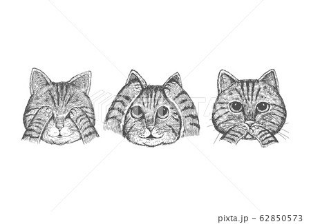 Hand drawn 3 wise cats with hands covering eyes, ears and mouth, Vector 62850573