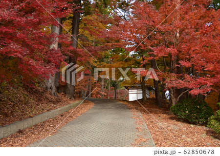 昌禅寺への道 62850678