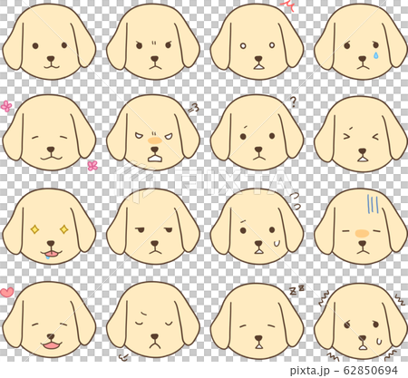 ゴールデンレトリバーの子犬（表情集） 62850694