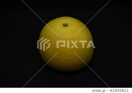 【果物素材】土佐ぶんたん　 62850821