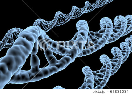 DNA, 遺伝子 DNA, 遺伝子 62851054