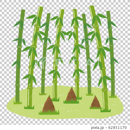 竹藪 筍のイラスト素材