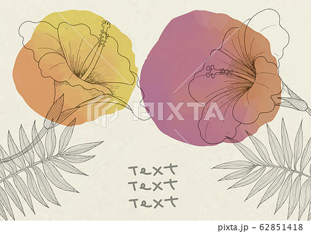 ボタニカルなハイビスカスと葉っぱの線画と水彩のデザイン 文字なしのイラスト素材