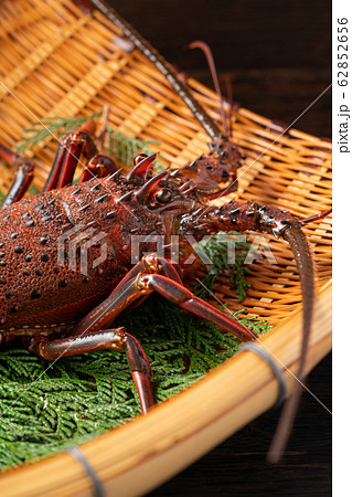 伊勢海老 伊勢海老 62852656