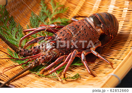 伊勢海老 62852660