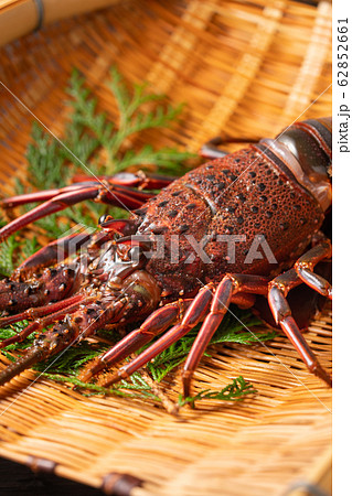 伊勢海老 62852661