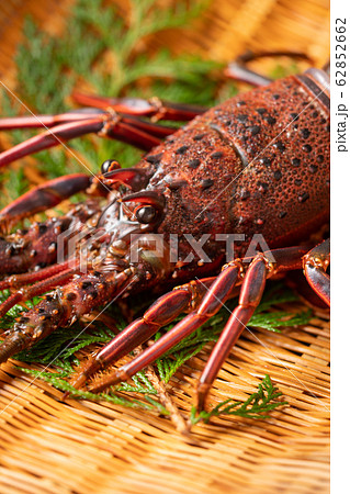 伊勢海老 62852662