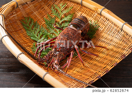 伊勢海老 62852674