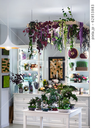 Bonsai on the table in beautiful cafe 62853883