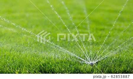Garden sprinkler on a sunny spring day during watering Garden sprinkler on a sunny spring day during watering 62853887