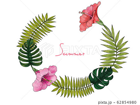 ボタニカルに描いたハイビスカス 植物のリースのイラスト素材