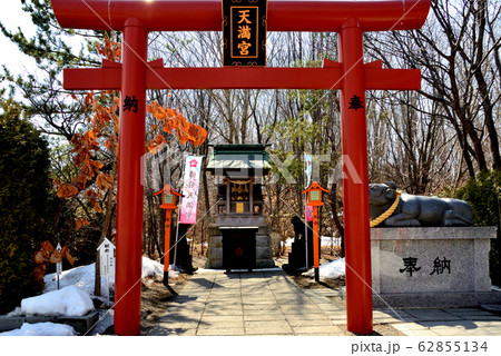苫小牧市 樽前山神社境内社の樽前天満宮鳥居と社殿 苫小牧市 樽前山神社境内社の樽前天満宮鳥居と社殿 62855134