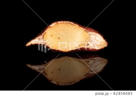 Exotic brown salak isolated on black glass 62856085