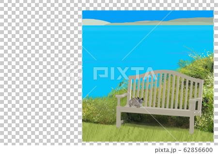 湖邊景觀與一隻貓的插圖 62856600