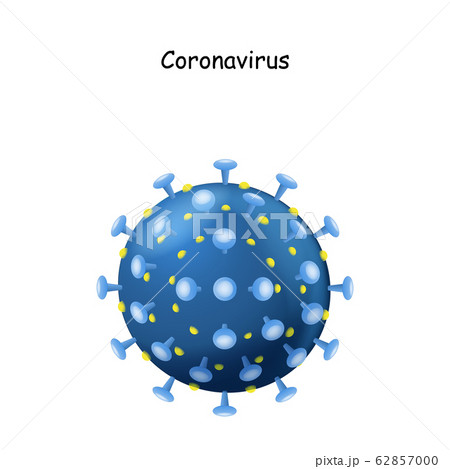 Corona Virus. virion of Coronavirus on white 62857000