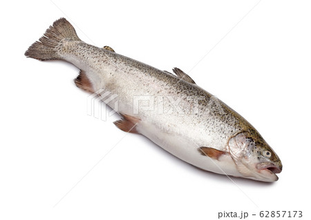 Fresh salmon fish isolated on white Fresh salmon fish isolated on white 62857173