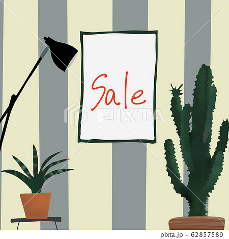 サンスベリア　カクタス　SALE　観葉植物 62857589