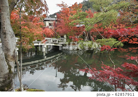 京都の禅林寺（永観堂）の法生池と極楽橋と紅葉 62857911