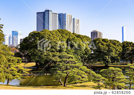 【東京都】初冬の浜離宮恩賜庭園 【東京都】初冬の浜離宮恩賜庭園 62858200