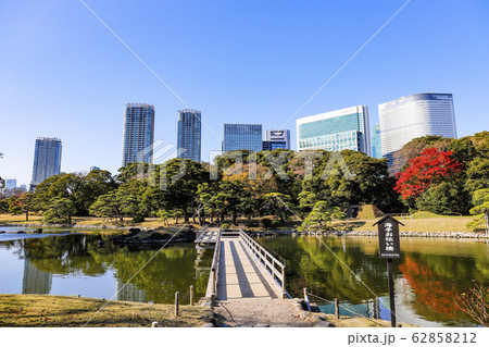 【東京都】初冬の浜離宮恩賜庭園 【東京都】初冬の浜離宮恩賜庭園 62858212