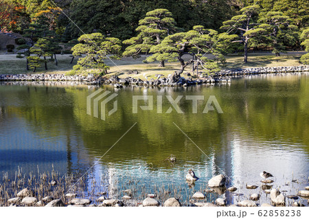 【東京都】初冬の浜離宮恩賜庭園 潮入の池 【東京都】初冬の浜離宮恩賜庭園 潮入の池 62858238