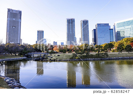 【東京都】初冬の浜離宮恩賜庭園 62858247