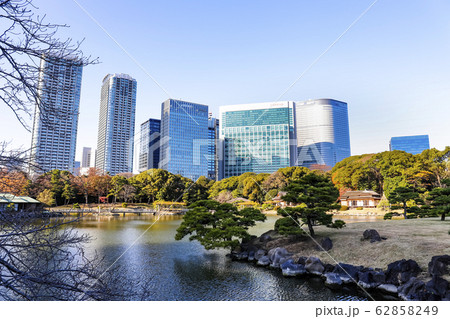 【東京都】初冬の浜離宮恩賜庭園 62858249