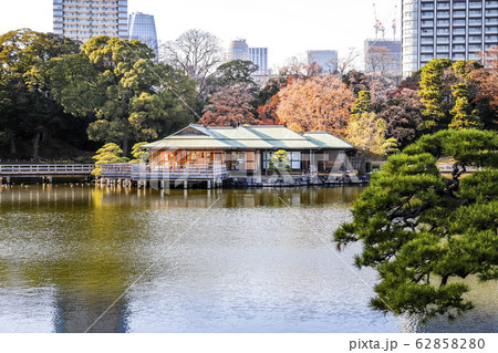 【東京都】初冬の浜離宮恩賜庭園　潮入の池と中島の御茶屋 62858280