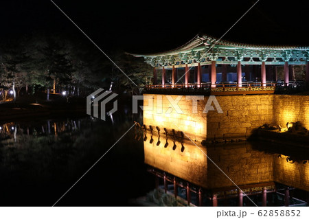 レース 雁鴨池 夜景 62858852