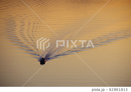 徳島県　鳴門スカイライン　堀越橋から 62861813